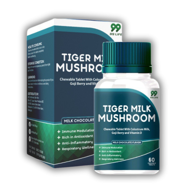 TIGER MILK MUSHROOM - 1 UNIT